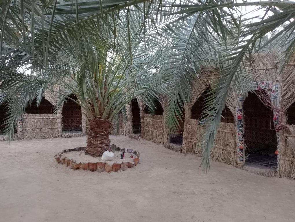 SIWA AJUBAR CAMP